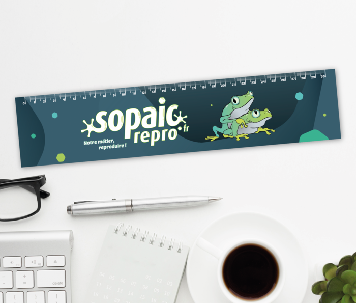 Règle personnalisée en papier indéchirable